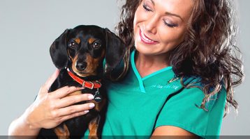 110: Dr. Karen Becker - Ultimate Pet Health: Vaccines, Supplements, & Oral Care (Part 2 of 2)