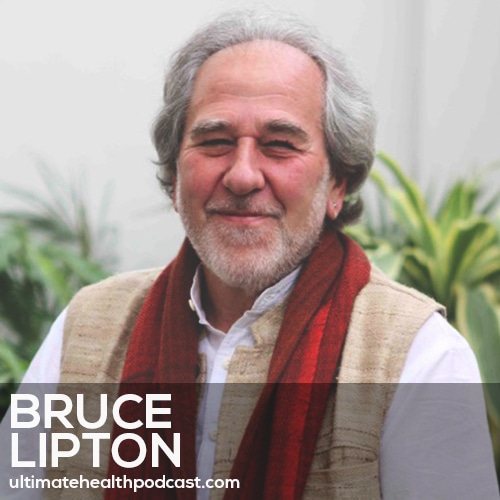 240: Bruce Lipton - The Honeymoon Effect • Conscious Parenting • You Have 2 Minds