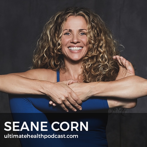 310: Seane Corn - Revolution Of The Soul,  Yoga Is An Art, Understanding The Chakras