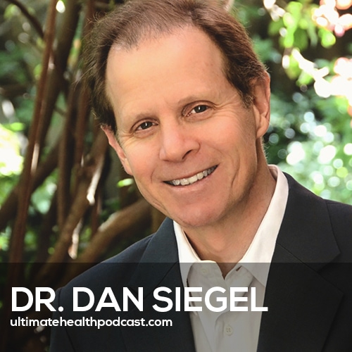 381: Dr. Dan Siegel - The Mind Is Broader Than The Brain