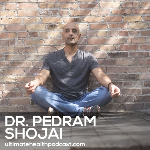 382: Dr. Pedram Shojai - Becoming A Taoist Monk, Meditation Is the Ultimate Drug, Managing Your Life Garden