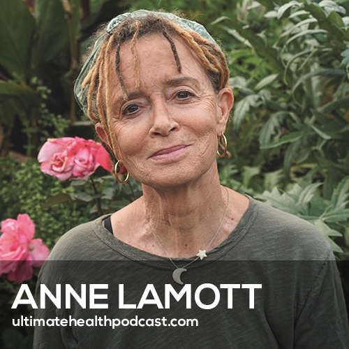 How to Overcome Life's Obstacles | Anne Lamott (#417)