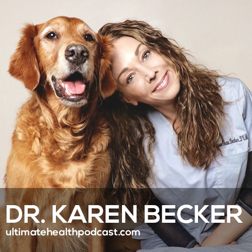 Dr karen store becker raw diet