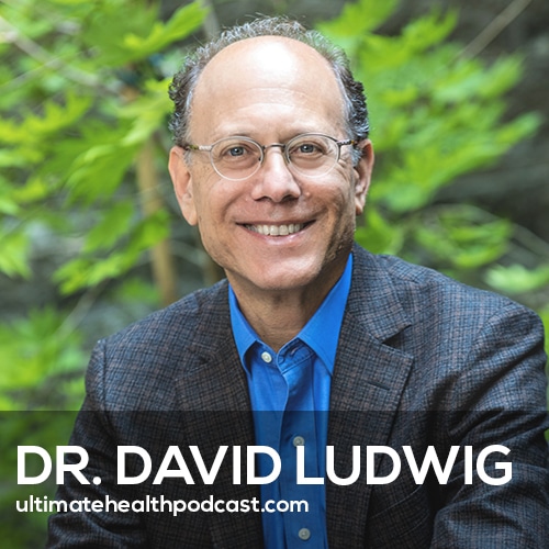 Everything You’ve Been Told About Weight Loss Is Wrong! (Do This Instead) | Dr. David Ludwig (#516)