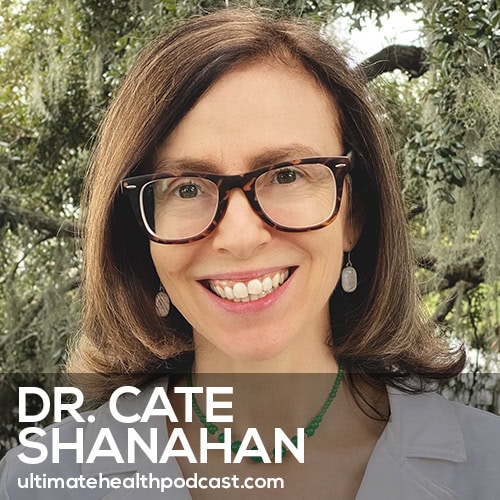 The Food That Is More Harmful Than Sugar (Don’t Eat This!) | Dr. Cate Shanahan (#603)